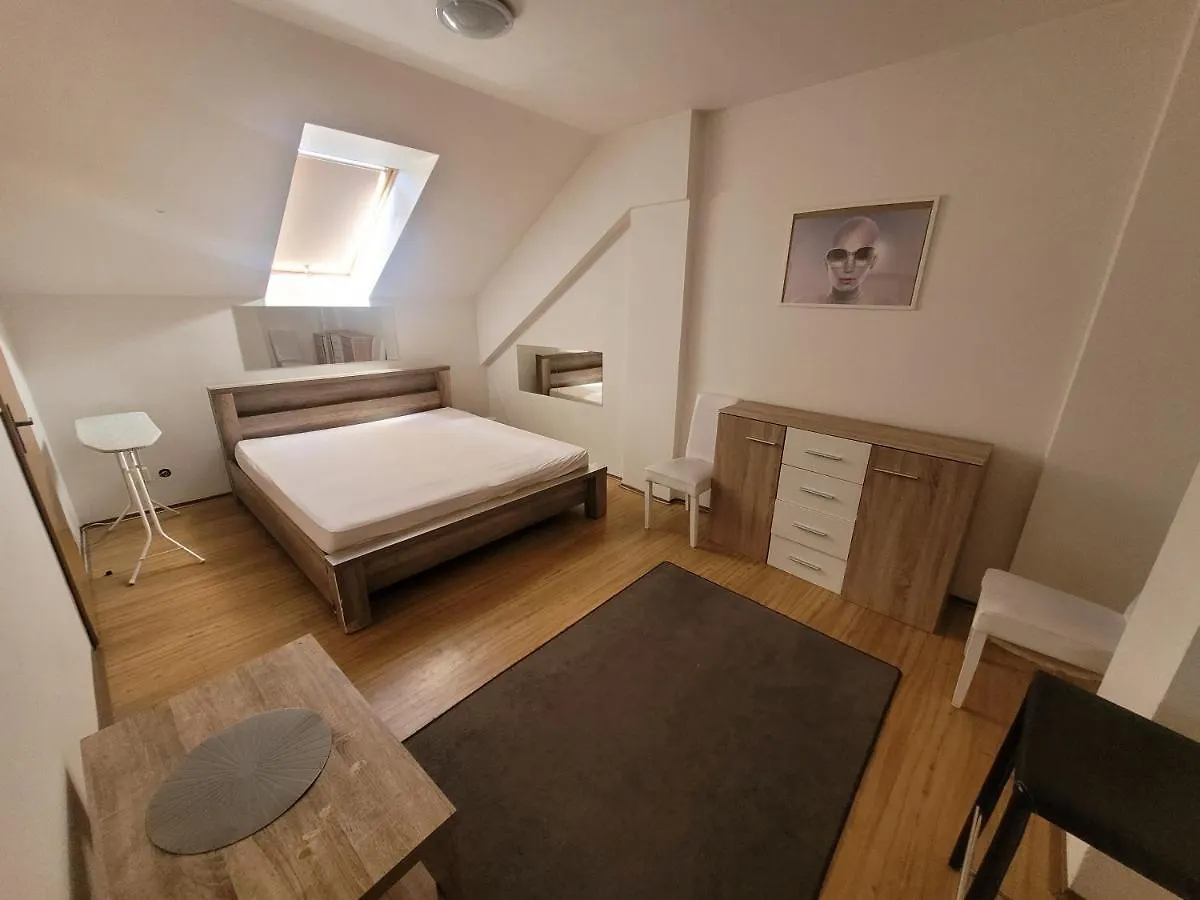 Apartments Zizkov B براغ