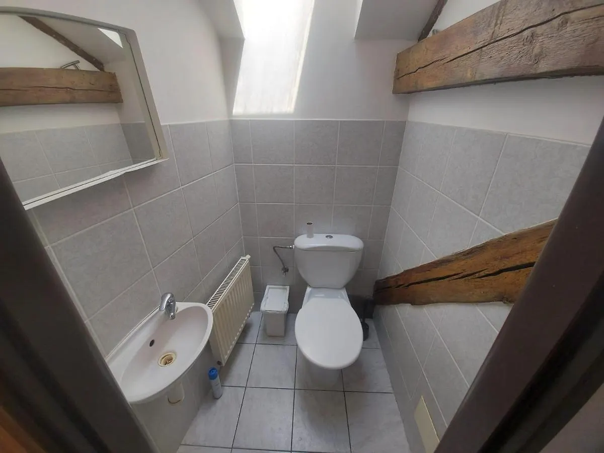 Apartments Zizkov B براغ 0*,  جمهورية التشيك
